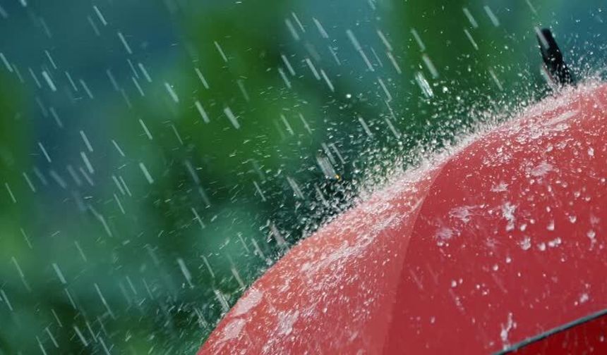 Yarın yağmur, pazar ve pazartesi don olayı bekleniyor