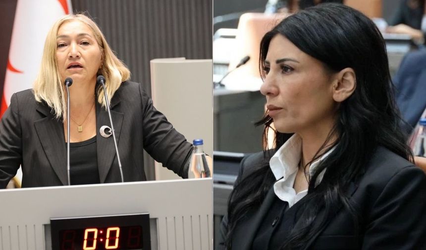 Meclis’te Komite Tartışması: Özdenefe’den Eleştiri, Öztürk’ten Yanıt