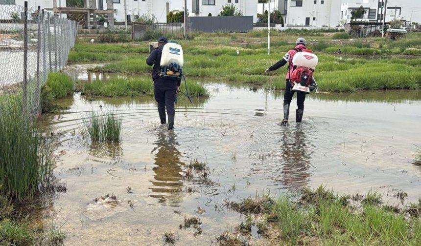 GMB kent genelinde sivrisinekle mücadeleye devam ediyor