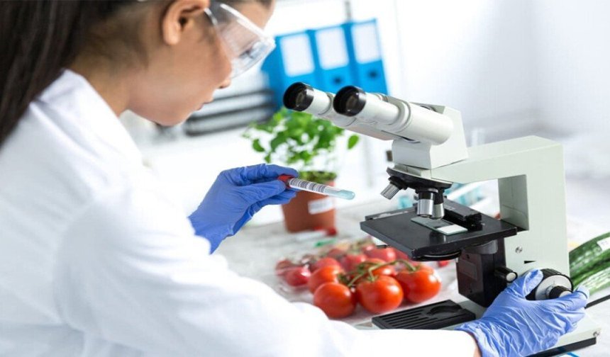 Haftalık gıda denetim sonuçları açıklandı: Yerli çarli biber imha edildi