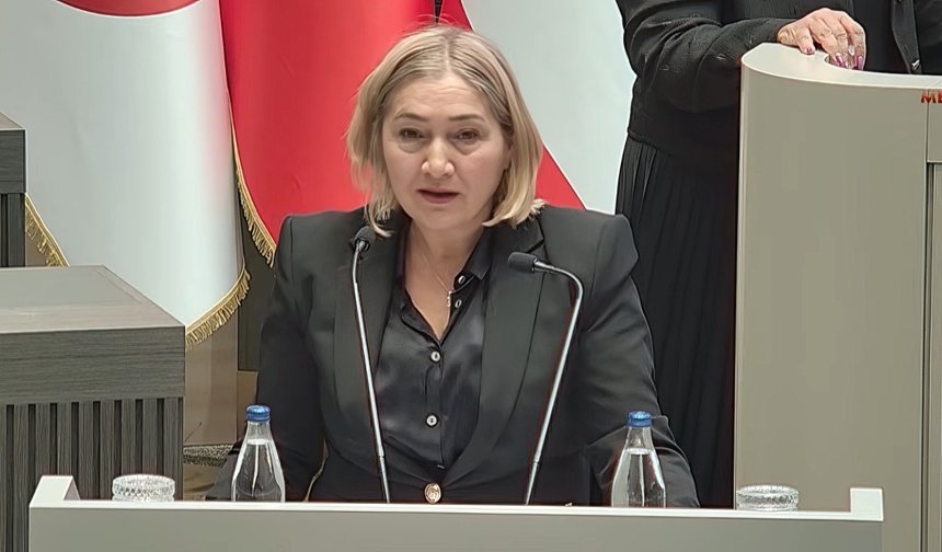 Öztürk'ten Facebook'a tepki: ''vatandaşlar mağdur edildi''