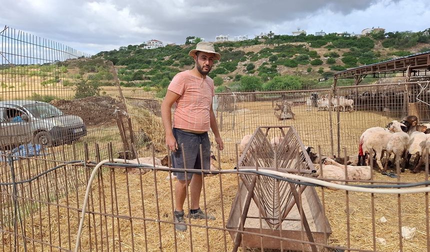 Onalt: “Başıboş köpeklerin saldırıları üreticiler için büyüyen bir sorun haline geldi"