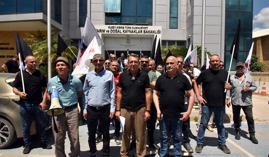 KTEZO ile Kasaplar Birliği'nden eylem: "Yerli et sübvanse edilsin"