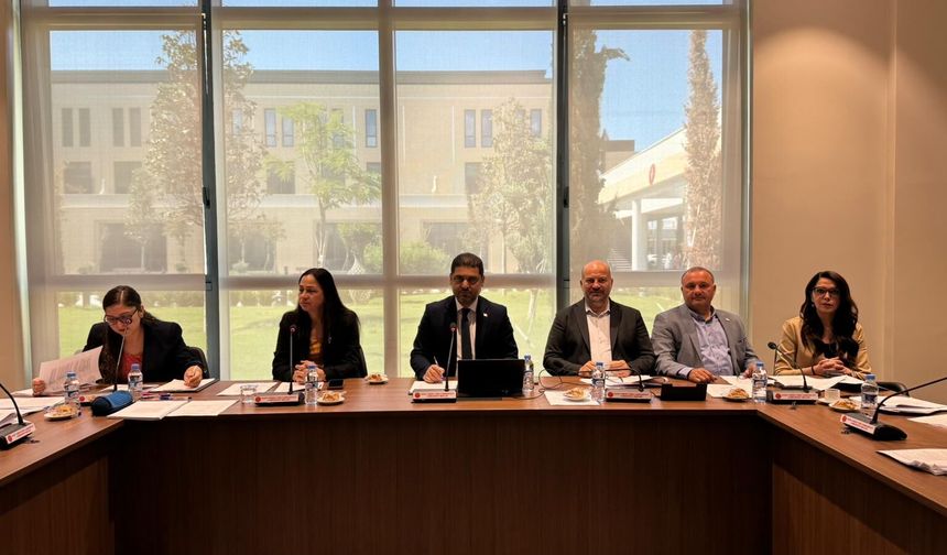 Avrupa Birliği Uyum Yasa Tasarılarını Görüşmek Üzere Oluşturulan Geçici ve Özel Komite toplandı