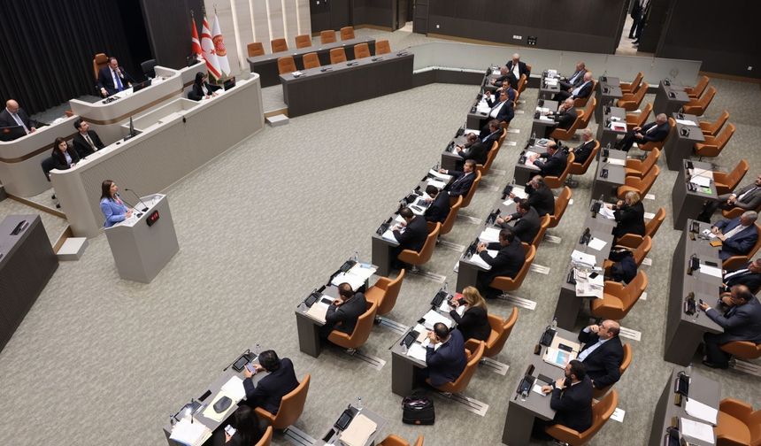 Genel Kurul'da ''Muhaceret Affı'' onaylandı