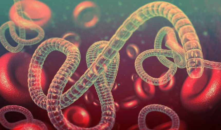 ABD, Ebola salgını nedeniyle ülkeye girişlerde denetimi artıracak