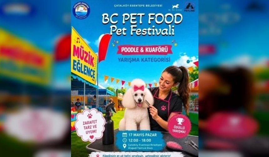 Alagadi’de evcil hayvanlar için festival düzenleniyor