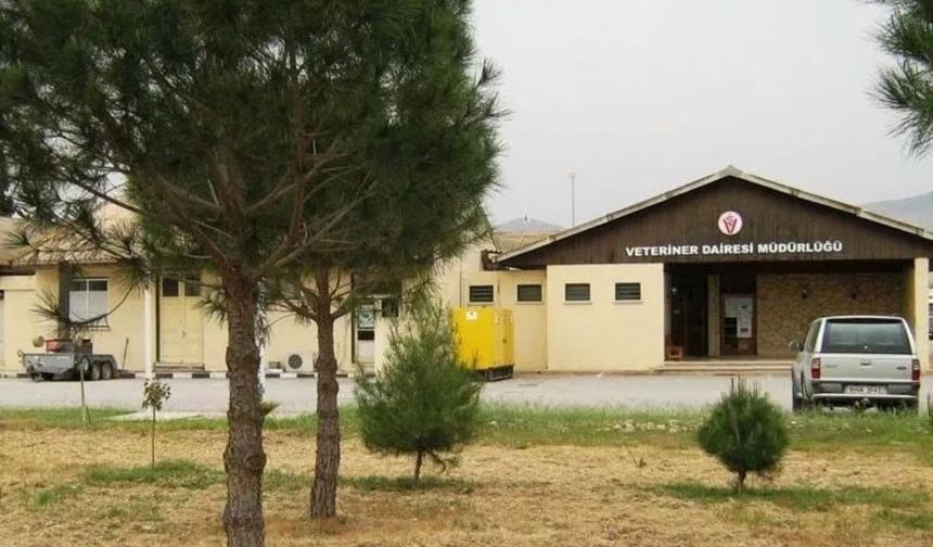 Veteriner Dairesi’nden kurban açıklaması