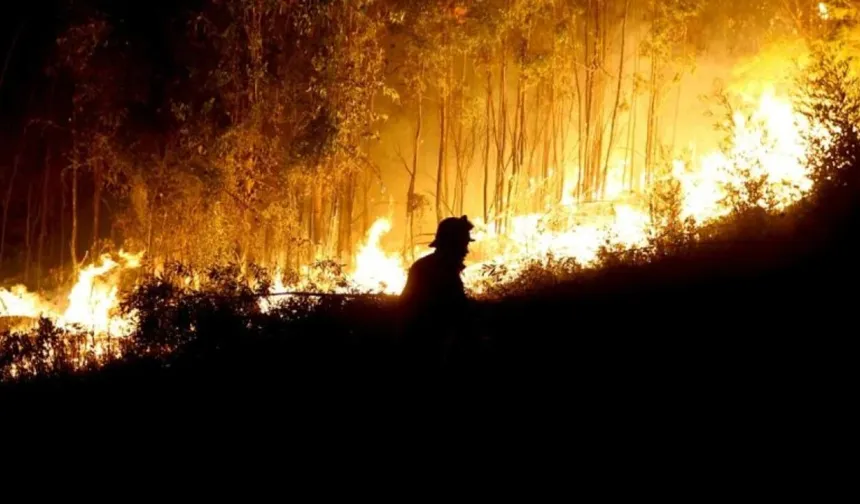 Yunanistan'da Selanik yakınlarındaki Kufalya bölgesinde orman yangını çıktı