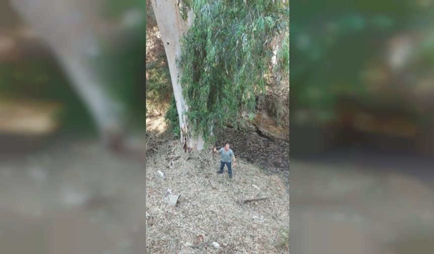 BİO-DER: “Kanlıdere’de gözlenen kirlilik bulguları çevre, halk sağlığı ve canlı yaşamını tehdit ediyor”