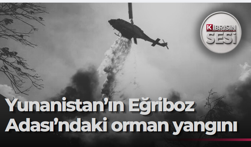 Yunanistan'ın Eğriboz Adası'ndaki orman yangını nedeniyle bir köyün sakinleri tahliye edildi