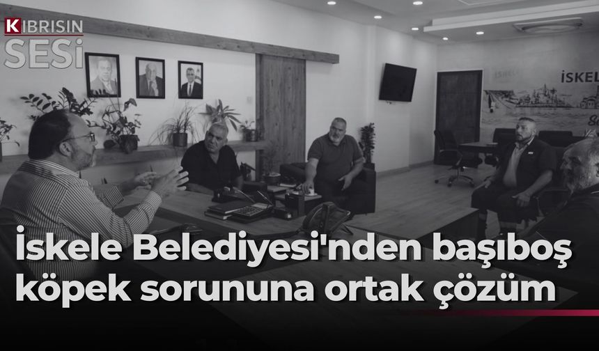 Başıboş köpek sorunu için İskele Belediyesi ile Hayvan Üreticileri ve Yetiştiricileri Birliği'nden ortak hareket kararı