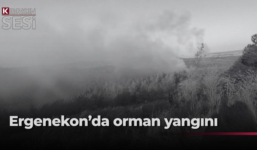 Vatandaşlara acil destek çağrısı yapıldı