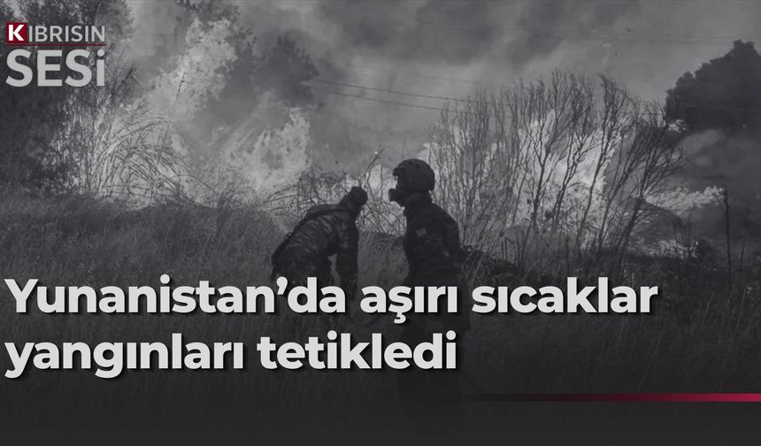 Çöl sıcaklarının etkili olduğu Yunanistan orman yangınlarıyla mücadele ediyor