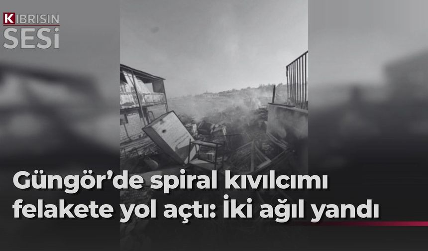 Güngör Ağıllar Bölgesi’nde iki ağılda yangın çıktı…İki kişi dumandan etkilendi