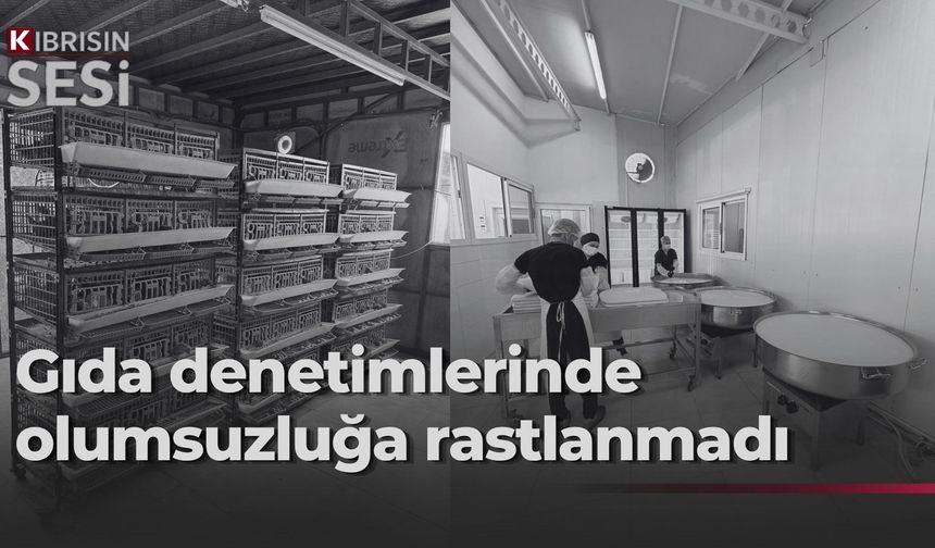 Veteriner Dairesi’nden gıda denetimi