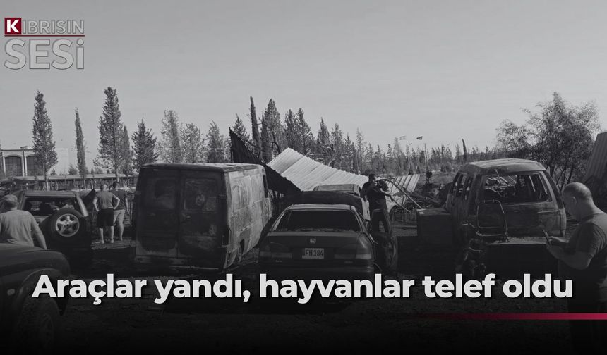 Metehan'da makinist garajında çıkan yangında tamirdeki araçlar ve bölgedeki hayvanlar yandı