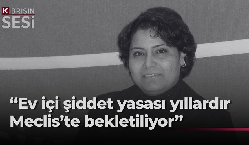 Yiğiter'den hükümete çağrı: “Ev İçi Şiddet Yasası'nı bir an önce geçirin”