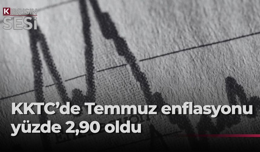 Temmuz ayı enflasyon oranı yüzde 2,90… Fiyatı en çok artan salatalık