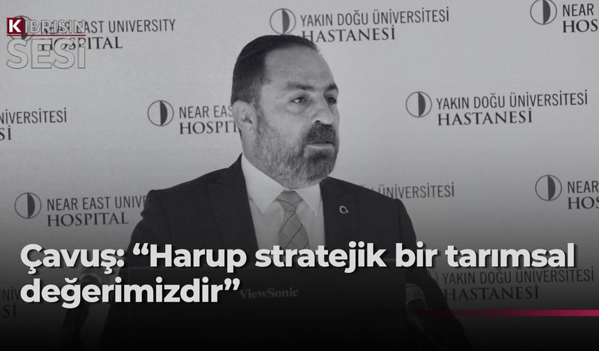 Tarım ve Doğal Kaynaklar Bakanı Çavuş “Büyük Harup Çalıştayı”na katıldı