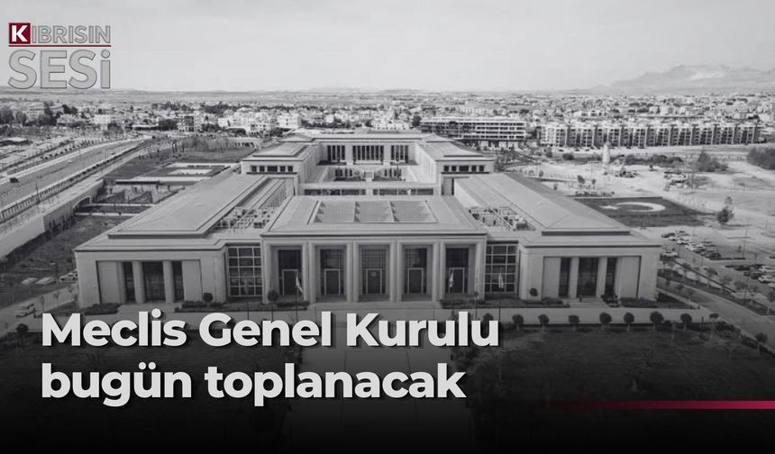 Meclis, toplum güvenliği gündemiyle olağanüstü toplanıyor