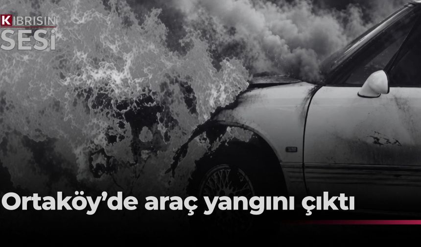 Seyir halindeki araçta yangın