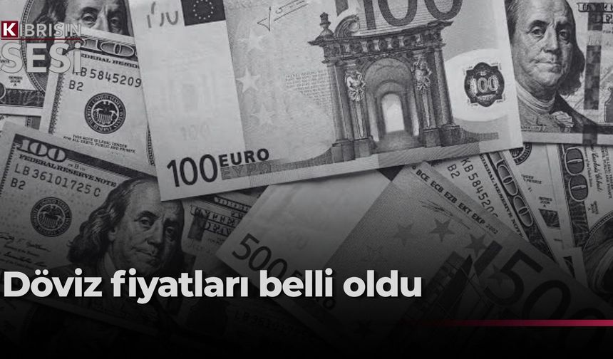 Serbest piyasada döviz kurları: Dolar 49,80 TL!
