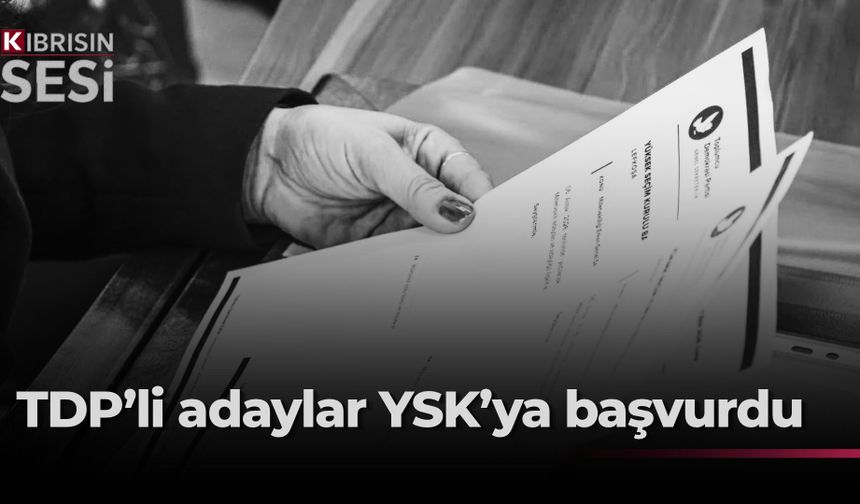 TDP’nin 9 belediyedeki belediye meclis üyesi adayları YSK’ya başvurdu