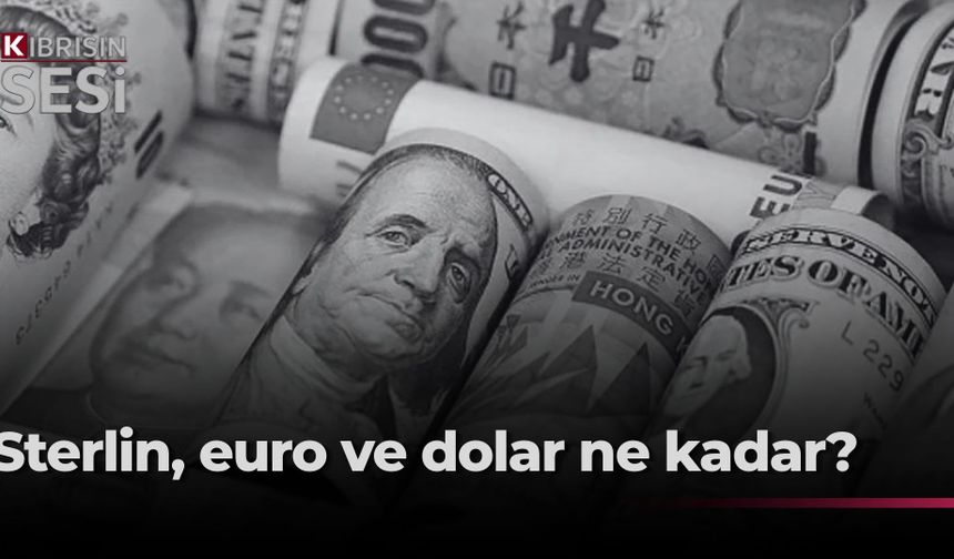 Döviz piyasasında son durum