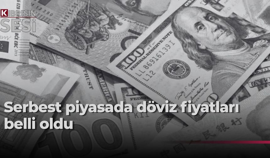 Serbest piyasada döviz kurları açıklandı