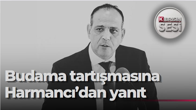 Suriçi'ndeki budama tartışmasına Harmancı'dan yanıt